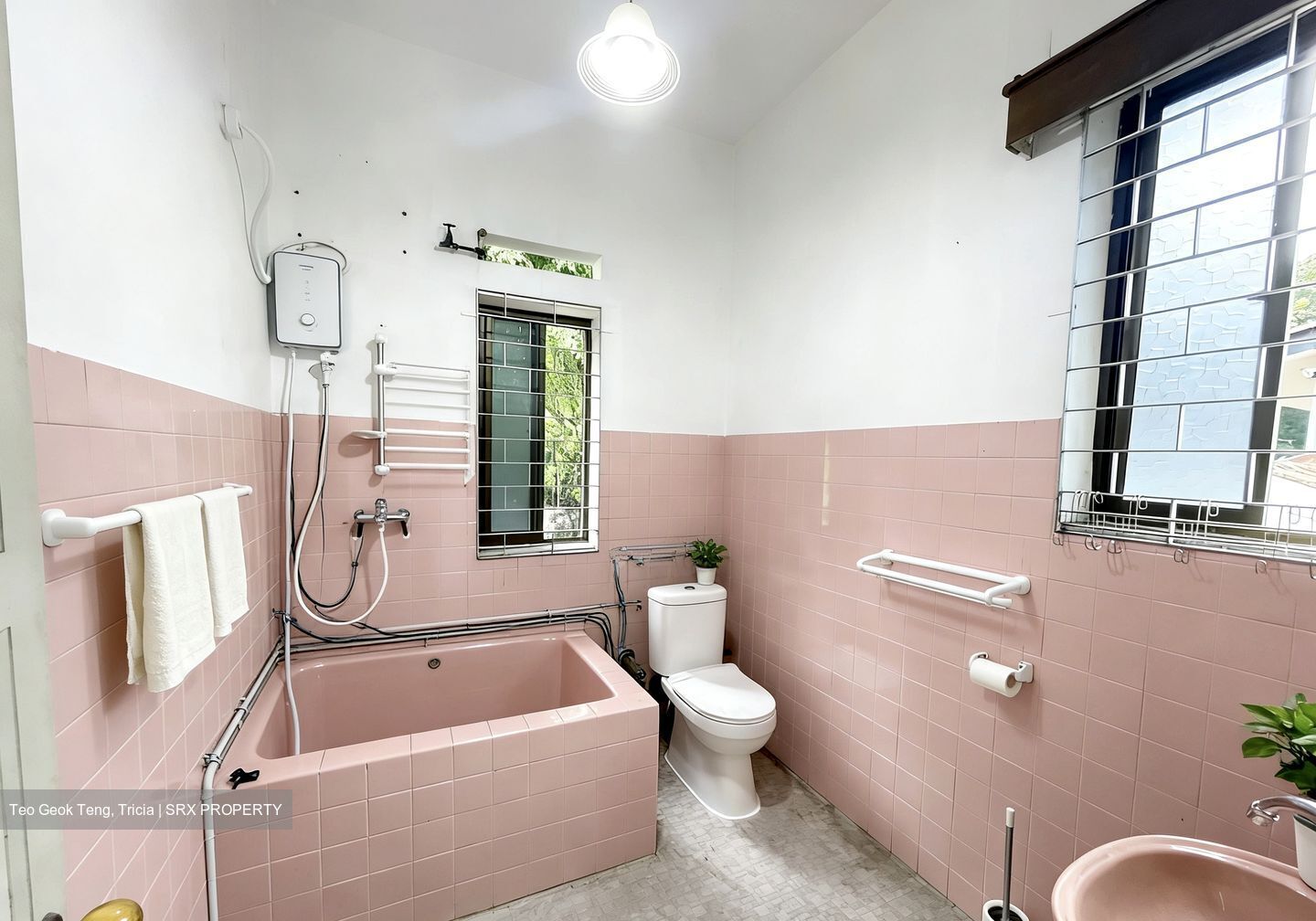 Carmichael Road (D13), Detached #529670191
